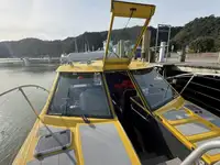 Cruise ship for sale