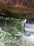 Barge for sale