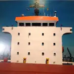 Bulk carrier for sale