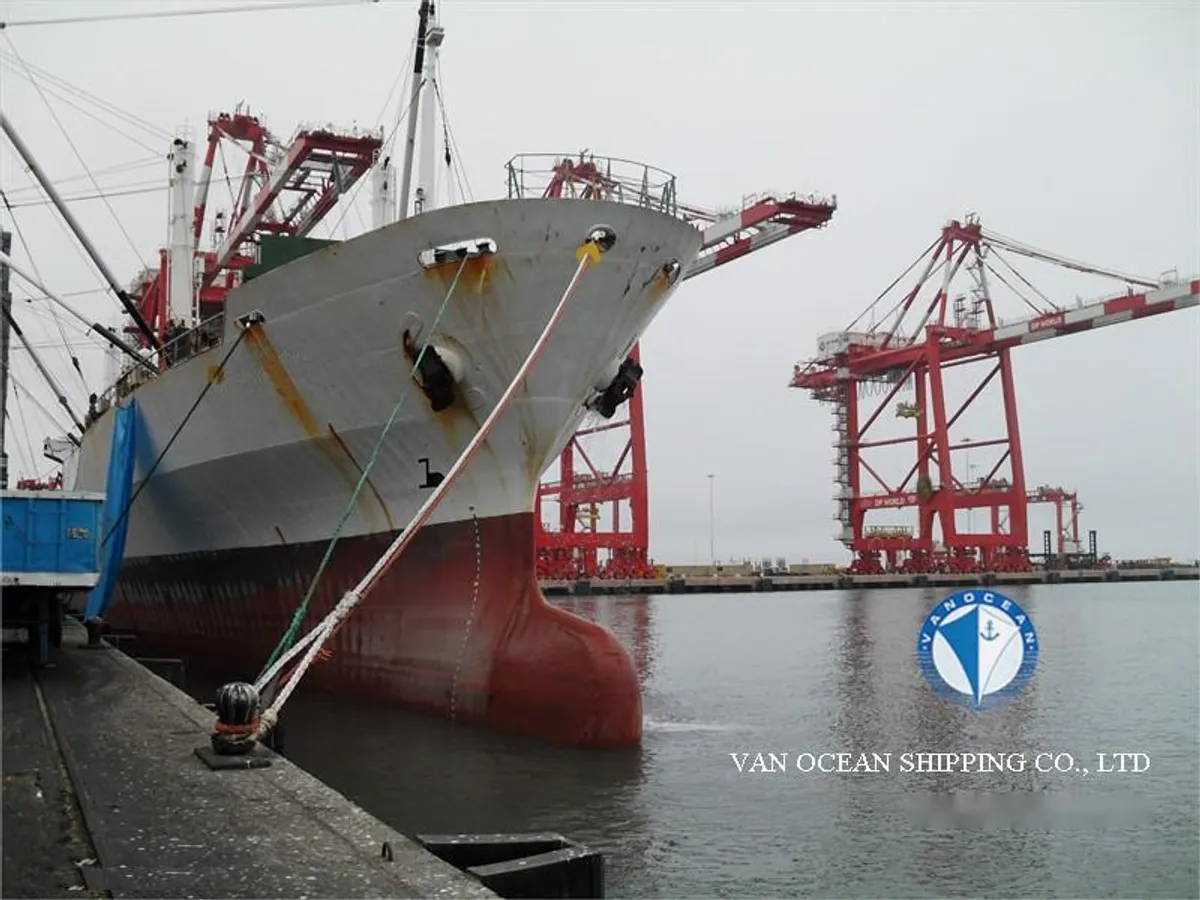 Reefer ship for sale