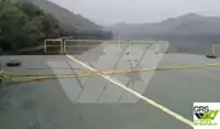 Barge for sale