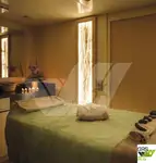 Cruise ship for sale
