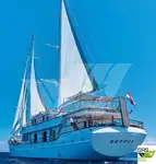 Cruise ship for sale