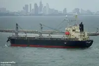 Bulk carrier for sale