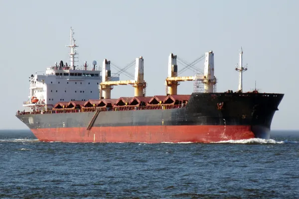 Bulk carrier for sale