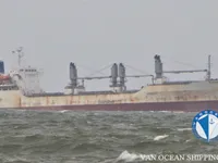 Reefer ship for sale