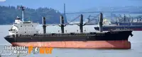 Bulk carrier for sale