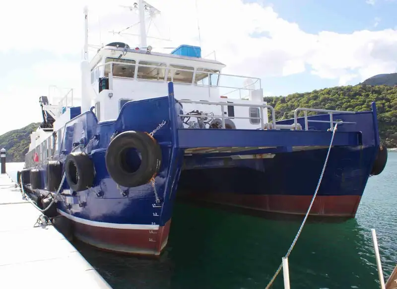 Catamaran for sale