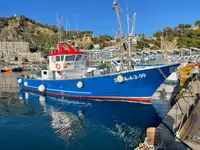 Trawler for sale