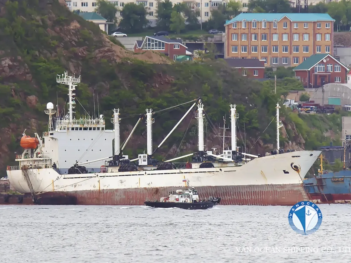 Reefer ship for sale