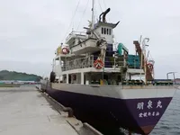 General Cargo/Multi-purpose for sale