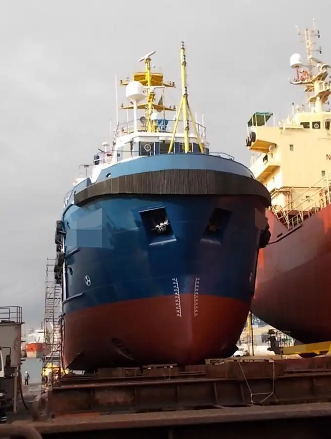 Reefer ship for sale
