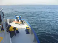 Reefer ship for sale