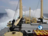 Reefer ship for sale