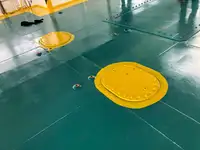 Ro-Ro ship for sale