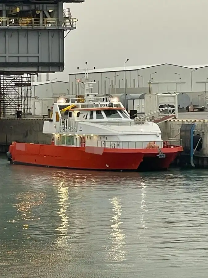 Catamaran for sale