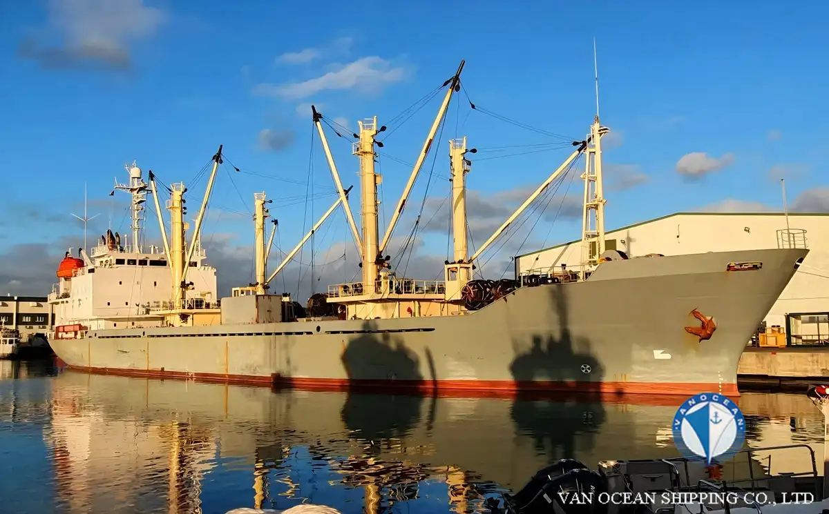 Reefer ship for sale