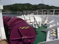 Bulk carrier for sale