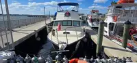 Dive support for sale