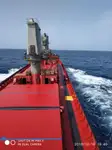 Bulk carrier for sale