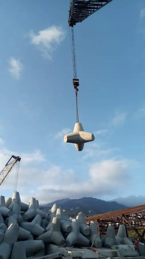 Crane vessel for sale