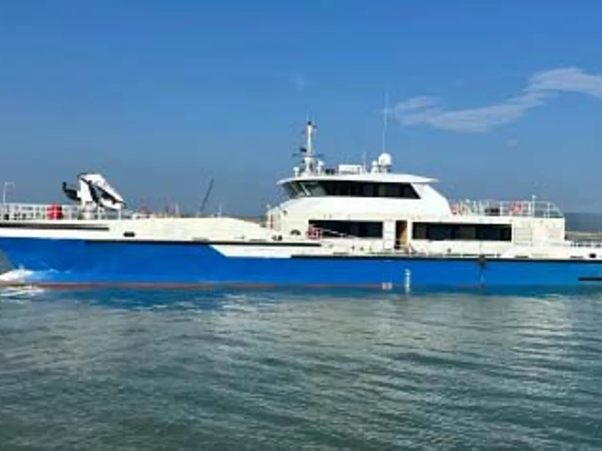 Catamaran for sale