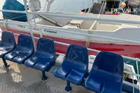 Cruise ship for sale