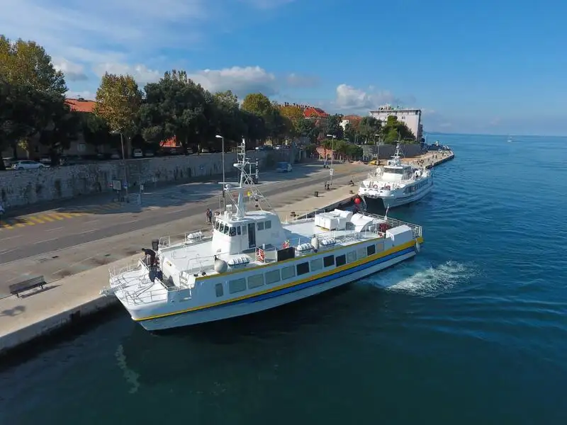 Catamaran for sale