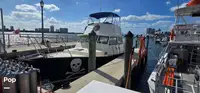 Dive support for sale