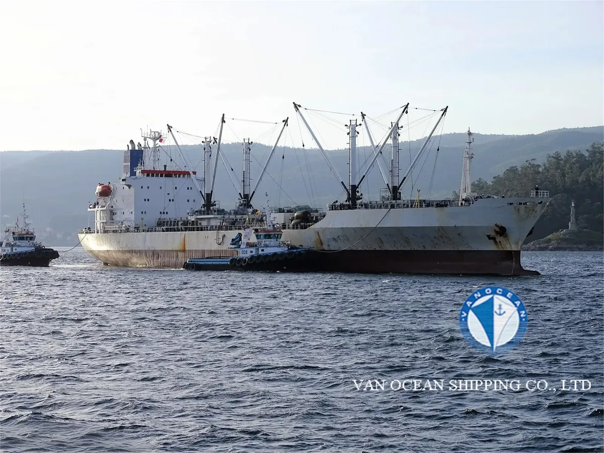 Reefer ship for sale