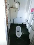 Cruise ship for sale