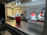 Cruise ship for sale