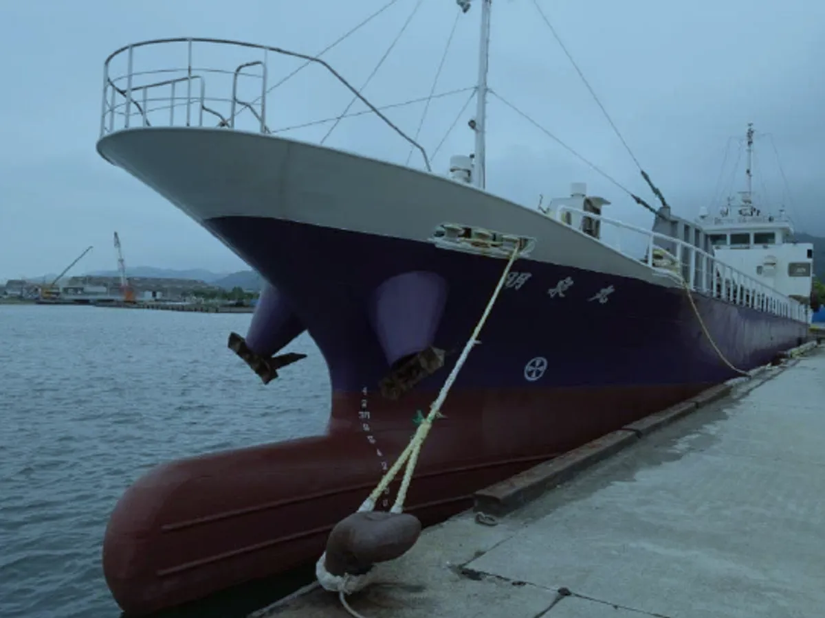 General Cargo/Multi-purpose for sale