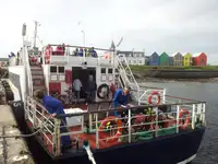 Cruise ship for sale