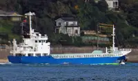 Bulk carrier for sale