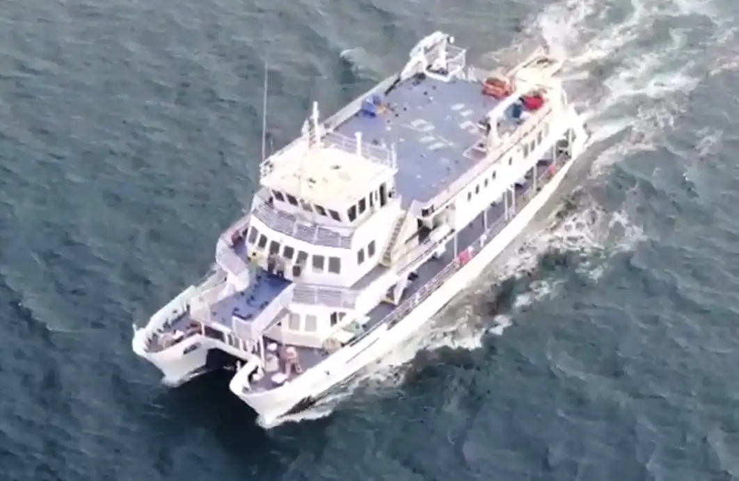 Catamaran for sale