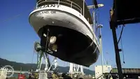 Ferry vessel for sale