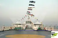 Ro-Ro ship for sale