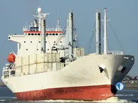 Reefer ship for sale