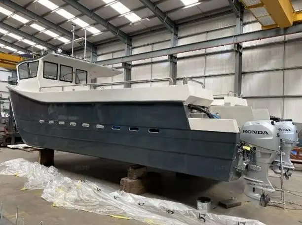 Catamaran for sale