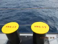 Reefer ship for sale