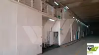 Ro-Ro ship for sale
