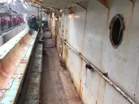 Squid jigger for sale