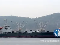 Reefer ship for sale