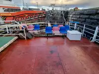 Cruise ship for sale