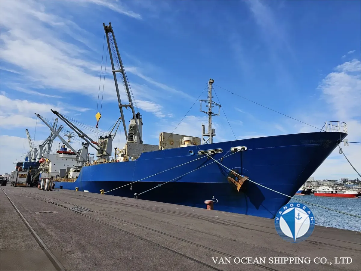 Reefer ship for sale