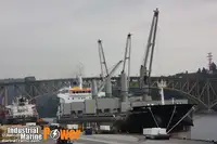 Bulk carrier for sale