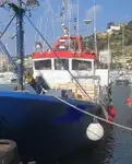 Trawler for sale