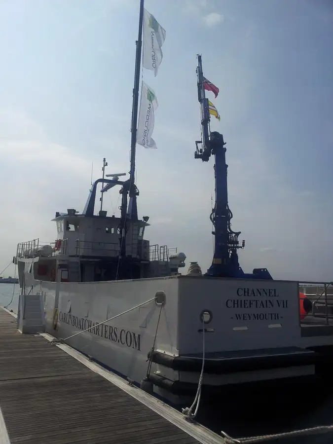 Catamaran for sale