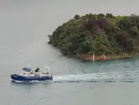 Catamaran for sale